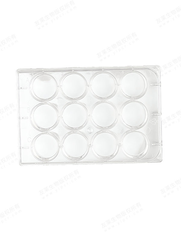 Cell Culture Plate