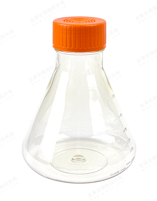 Erlenmeyer Flask