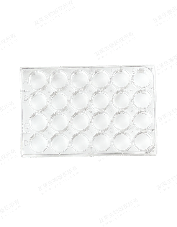 Cell Culture Plate