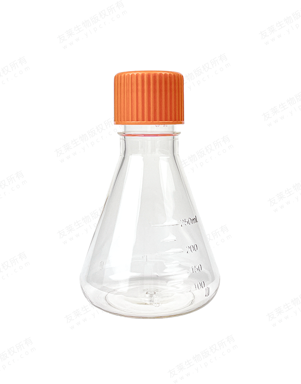 Erlenmeyer Flask