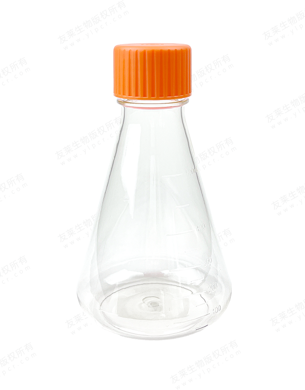 Erlenmeyer Flask