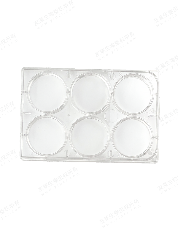 Cell Culture Plate