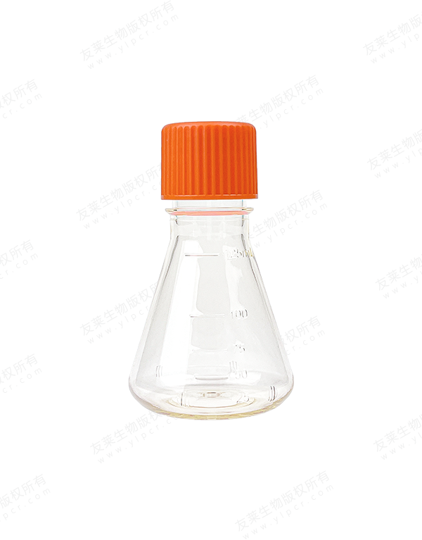 Erlenmeyer Flask